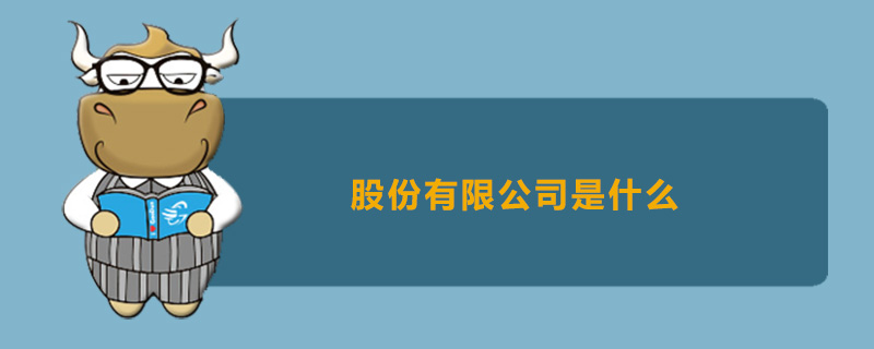 股份有限公司是什么