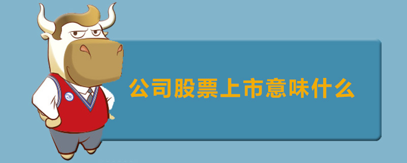 公司股票上市意味什么