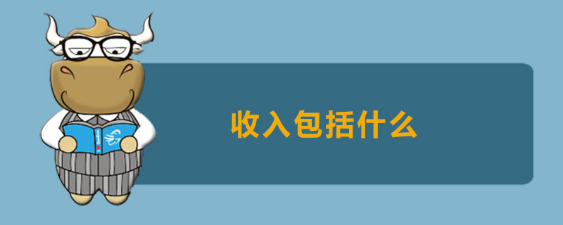 收入包括什么