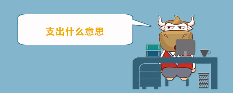 支出什么意思