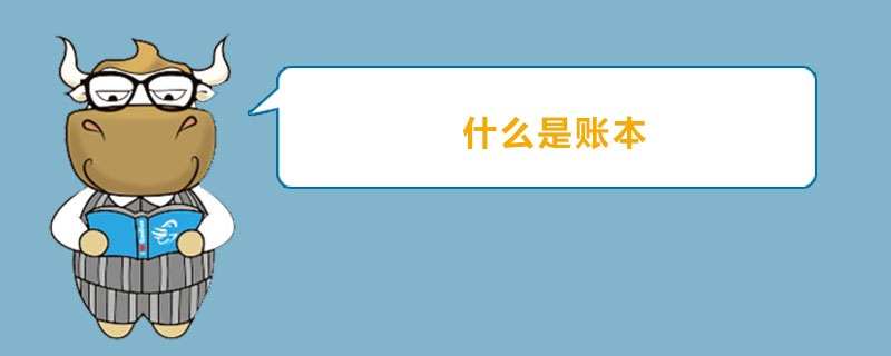 什么是账本