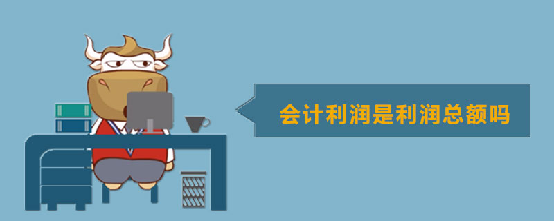 会计利润是利润总额吗